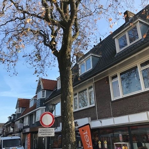 Driebergen-Rijsenburg, Traaij, 3-kamer appartement - foto 1