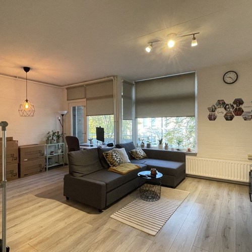 Arnhem, Bergstraat, 2-kamer appartement - foto 1