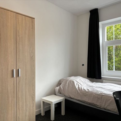 Eindhoven, Willem de Zwijgerstraat, kamer - foto 1