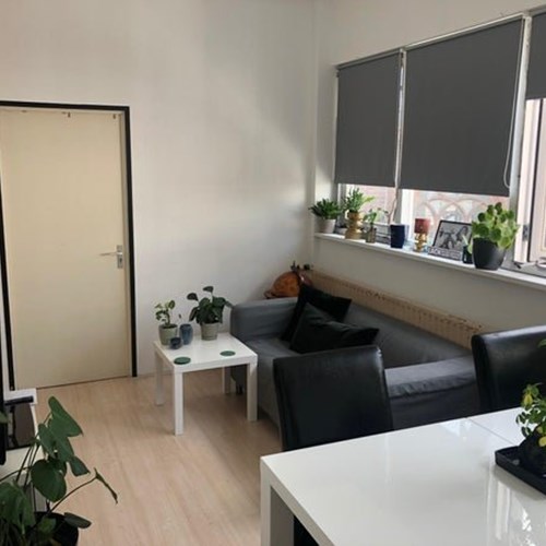 Arnhem, Ir J.P. van Muijlwijkstraat, studentenkamer - foto 1